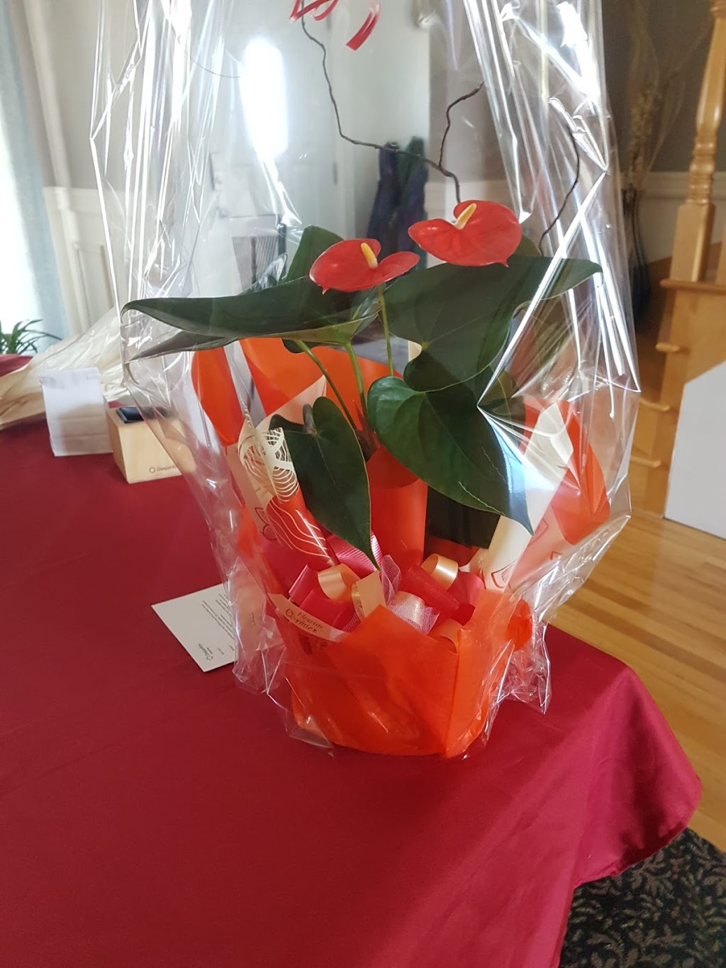 Fleuriste Cormier | 2420 Bd Thibeau, Trois-Rivières, QC G8T 1E9, Canada | Phone: (819) 379-3459