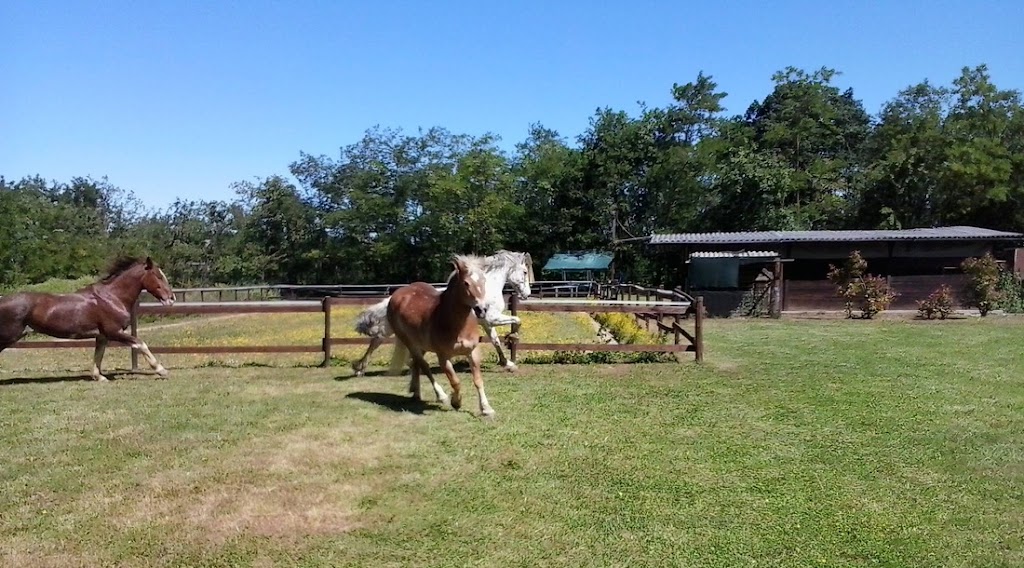 Tani Farms | 2202 Governors Rd, Hamilton, ON L0R 1T0, Canada | Phone: (905) 253-7534