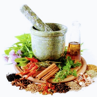 Nobleton Tandoori | 12984, Unit # A, York Regional Rd 27, Nobleton, ON L0G 1N0, Canada | Phone: (905) 558-5575