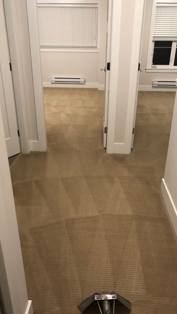 Klean King Carpet & Janitorial | 13886 62 Ave #19, Surrey, BC V3X 0G2, Canada | Phone: (778) 835-9723