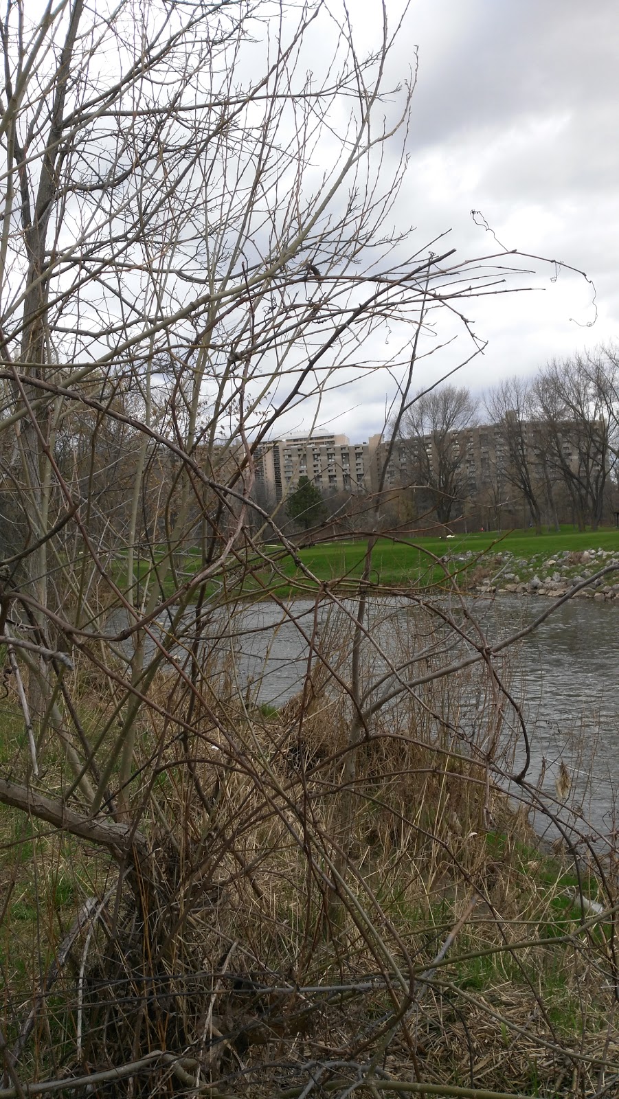 Fleetwood Park | Mississauga, ON L4X 2S8, Canada
