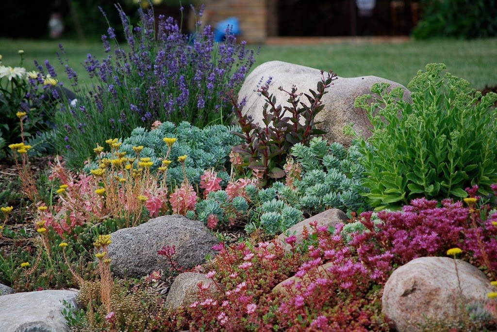 Maidstone Tree Farm & Garden Centre | 7010 ON-3, Maidstone, ON N0R 1K0, Canada | Phone: (519) 737-2999