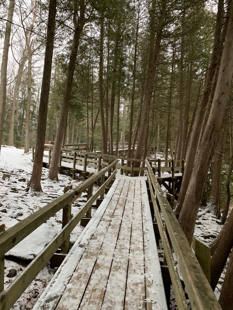 Crawford Lake Conservation Area | 3115 Conservation Rd, Milton, ON L9T 2X3, Canada | Phone: (905) 854-0234
