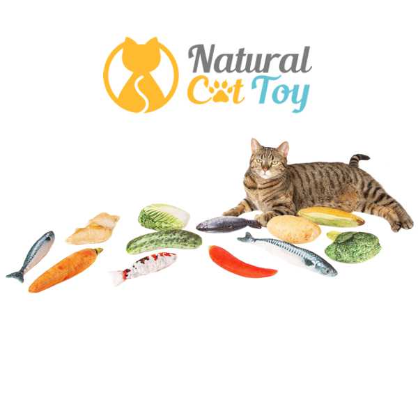 Natural Cat Toy | 10511 Odlin Rd, Richmond, BC V6X 1E3, Canada | Phone: (778) 803-1280