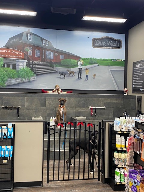 Pet Valu | 900 Shantz Drive, Didsbury, AB T0M 0W0, Canada | Phone: (403) 559-3031