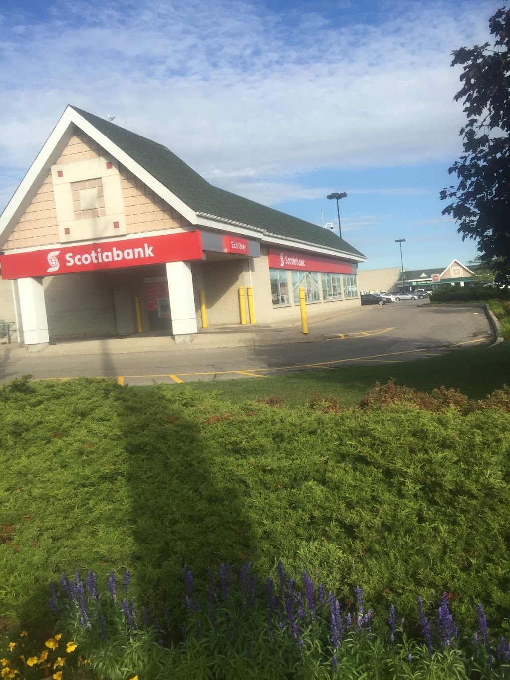 Scotiabank | 47 Mountainash Rd, Brampton, ON L6R 1W4, Canada | Phone: (905) 790-7171