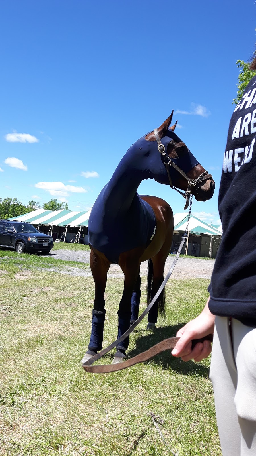 Burbrook Equestrian | 2147 Cordukes Rd, Kingston, ON K7L 4V4, Canada | Phone: (613) 544-3428