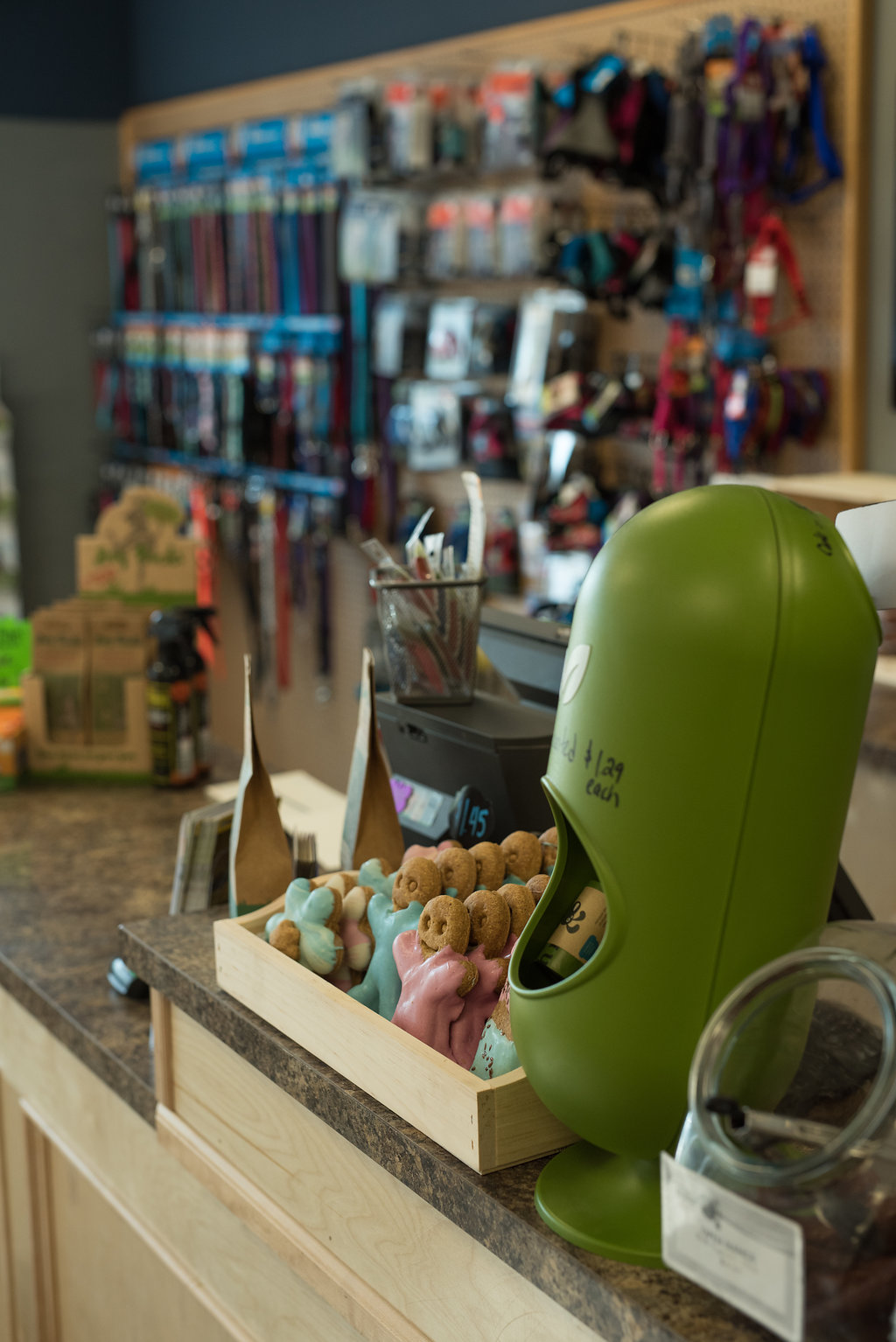 Pet Planet Millrise Plaza | Storefront OPEN | 150 Millrise Blvd SW Unit 3133, Calgary, AB T2Y 5G7, Canada | Phone: (403) 873-9297