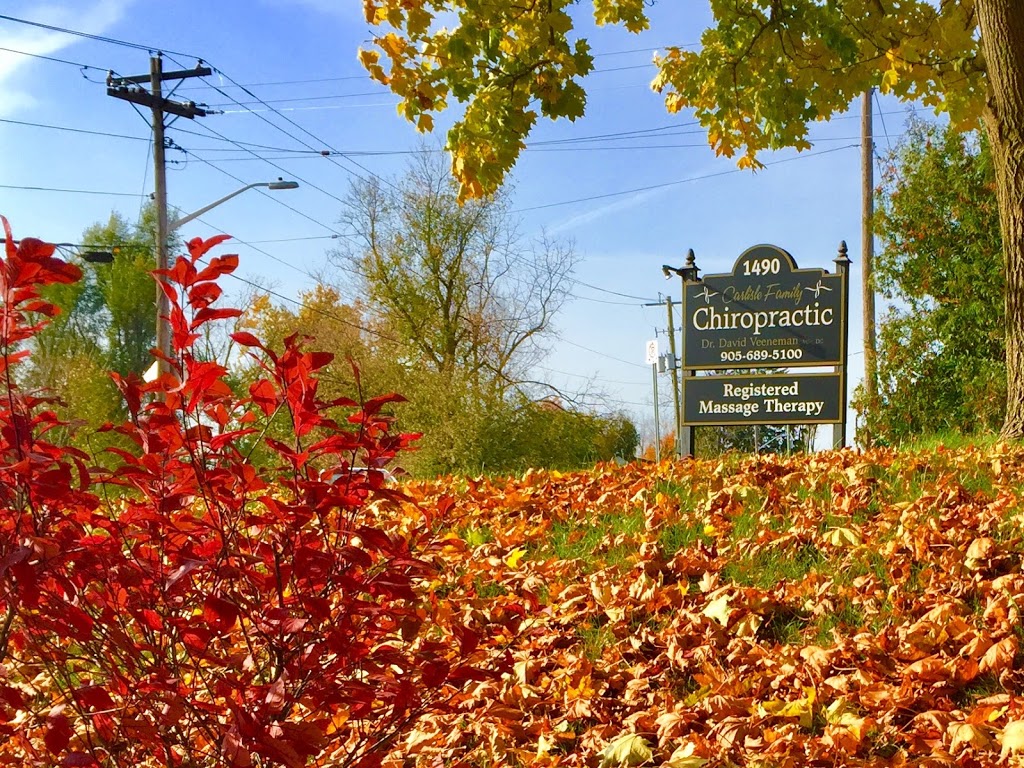 Carlisle Family Chiropractic Clinic | 1490 Centre Rd, Carlisle, ON L0R 1H2, Canada | Phone: (905) 689-5100