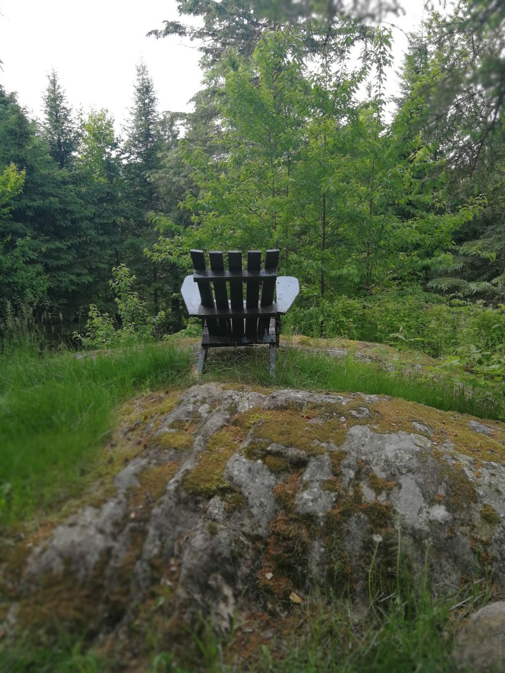 Ferme Riverview Farm | 659 Chemin de Brookdale, Boileau, QC J0V 1N0, Canada | Phone: (819) 687-3053
