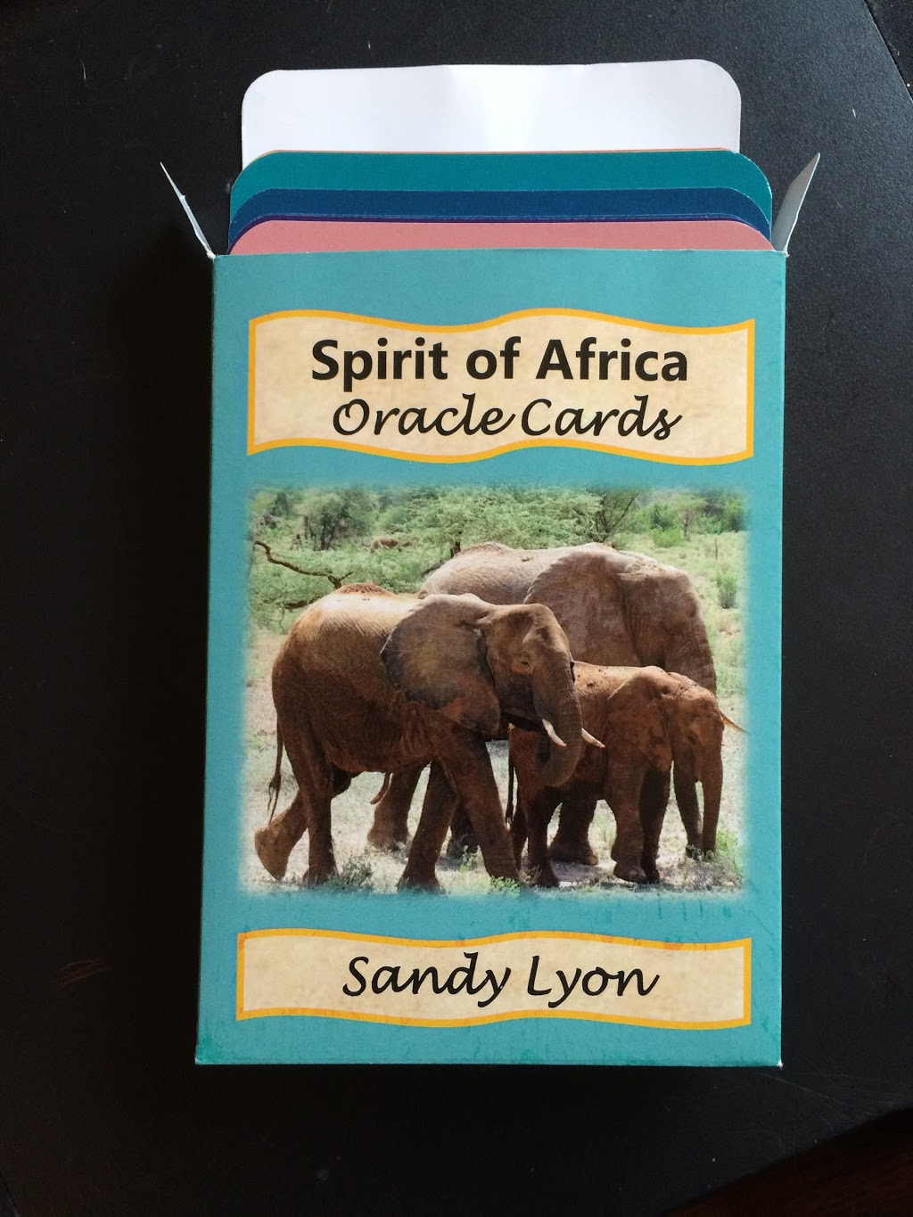 Sandy Lyon Psychic | 10528 35 Ave NW, Edmonton, AB T6J 2L9, Canada | Phone: (780) 340-2627