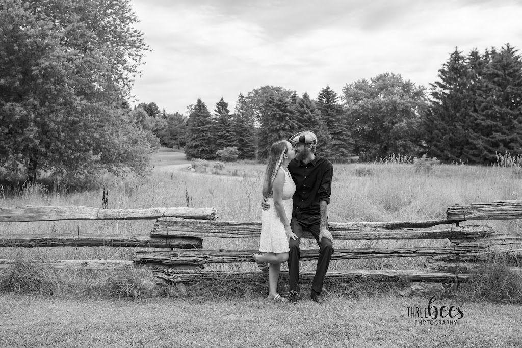 THREE BEES STUDIO | 10 Dorman St, Brighton, ON K0K 1H0, Canada | Phone: (613) 661-9166