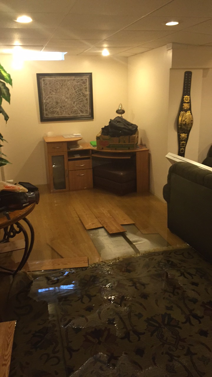 Paul Davis London | 562 Sovereign Rd, London, ON N5V 4K6, Canada | Phone: (519) 685-9595