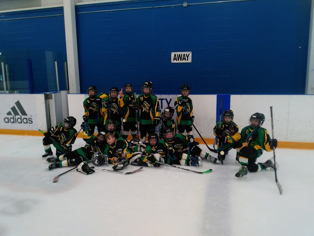 Campus Ice Centre | 2200 Simcoe St N, Oshawa, ON L1H 7K4, Canada | Phone: (905) 721-3230