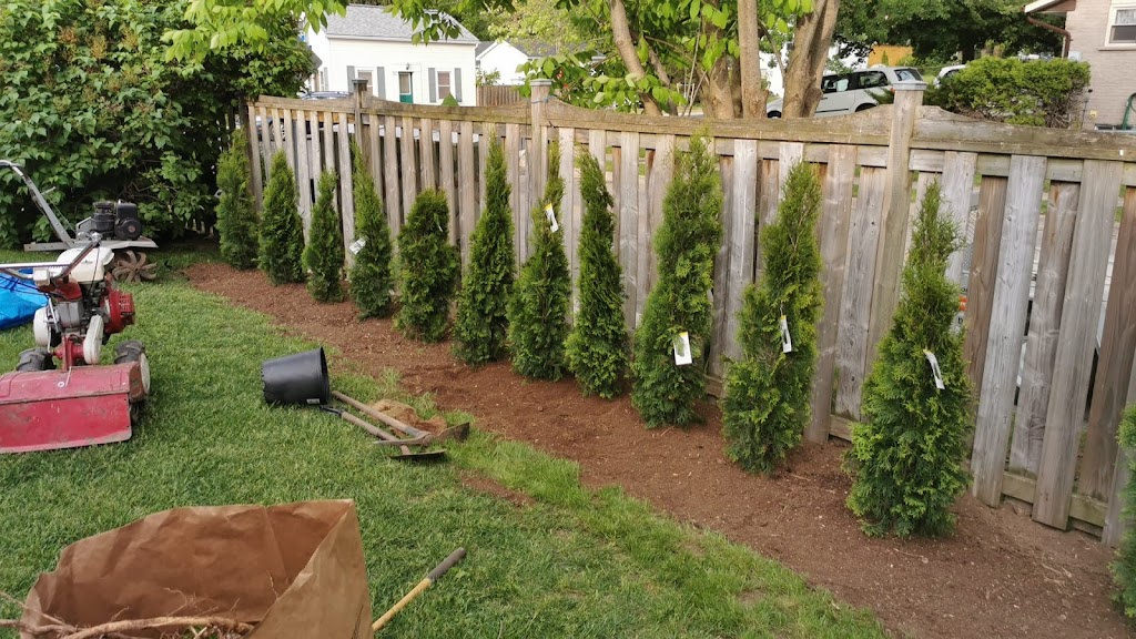 Neighbourhood Lawn Man | 5168 Eighth Line, Milton, ON L9E 1A6, Canada | Phone: (226) 200-1606