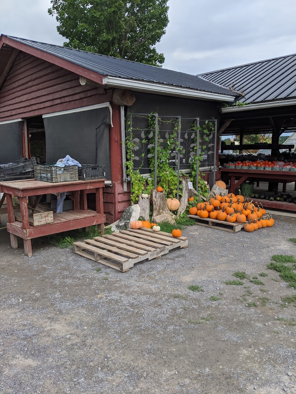 Hagerman Farms | 13644 Loyalist Pkwy, Picton, ON K0K 2T0, Canada | Phone: (613) 476-5362