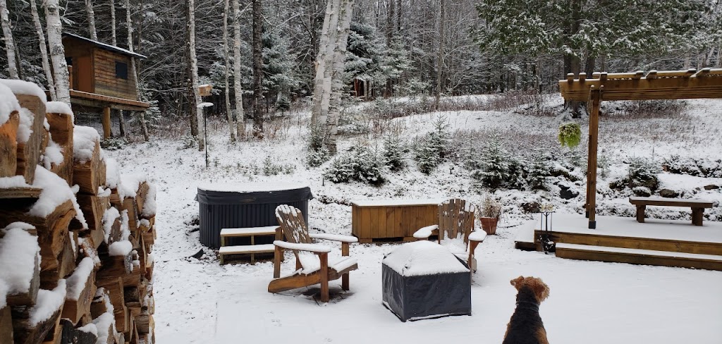 Le DEN de Tremblant | 118 Chem. du Châteaubois, Mont-Tremblant, QC J8E 1P4, Canada | Phone: (514) 824-8680