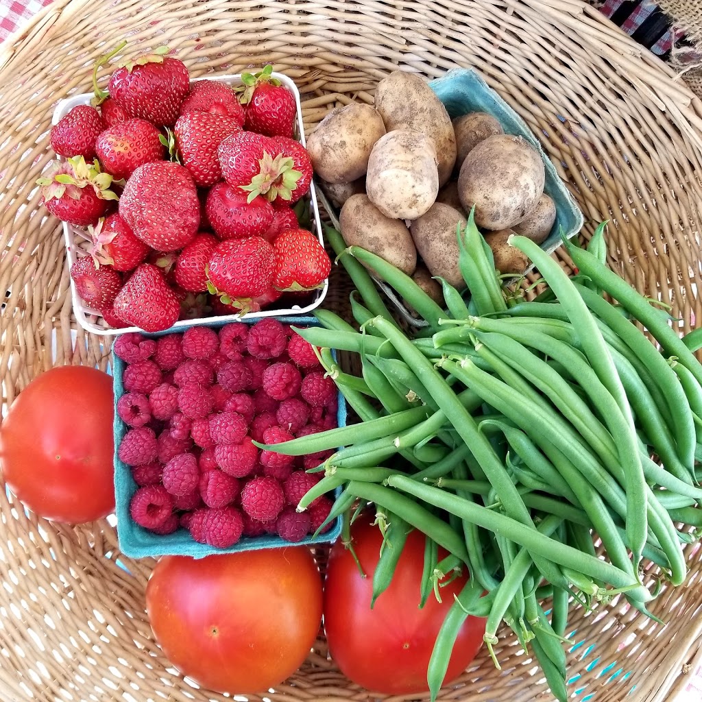 McGregors Produce | Lochwinnoch Rd, Braeside, ON K0A 1G0, Canada | Phone: (613) 432-9726