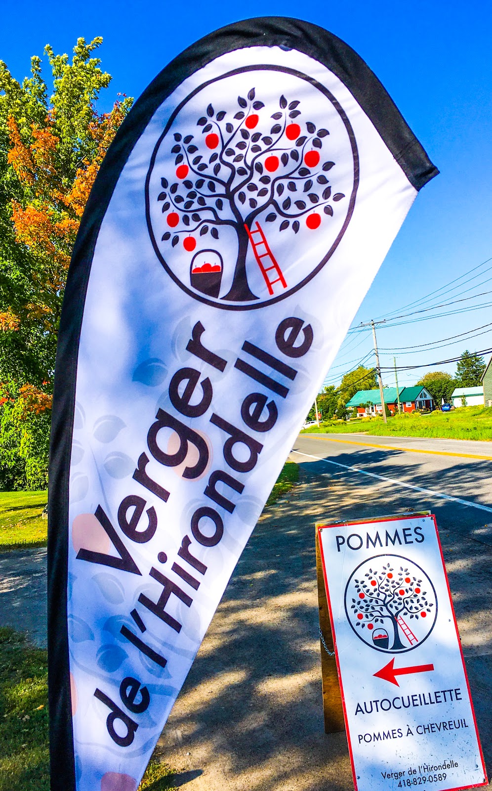 Verger de lhirondelle | 2405 Chem. Royal, Sainte-Famille, QC G0A 3P0, Canada | Phone: (418) 564-9639