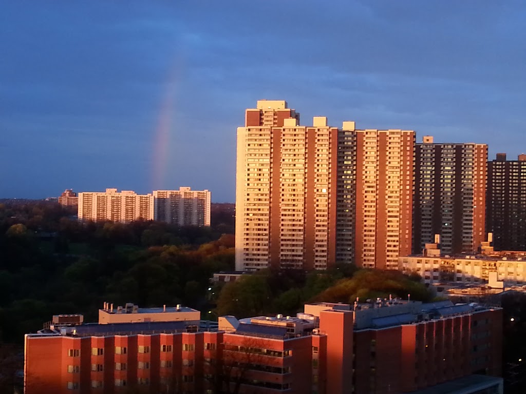 Eastdale Parkette | Eastdale Parkette, 110 Eastdale Ave, East York, ON M4C 5A1, Canada | Phone: (416) 392-2489
