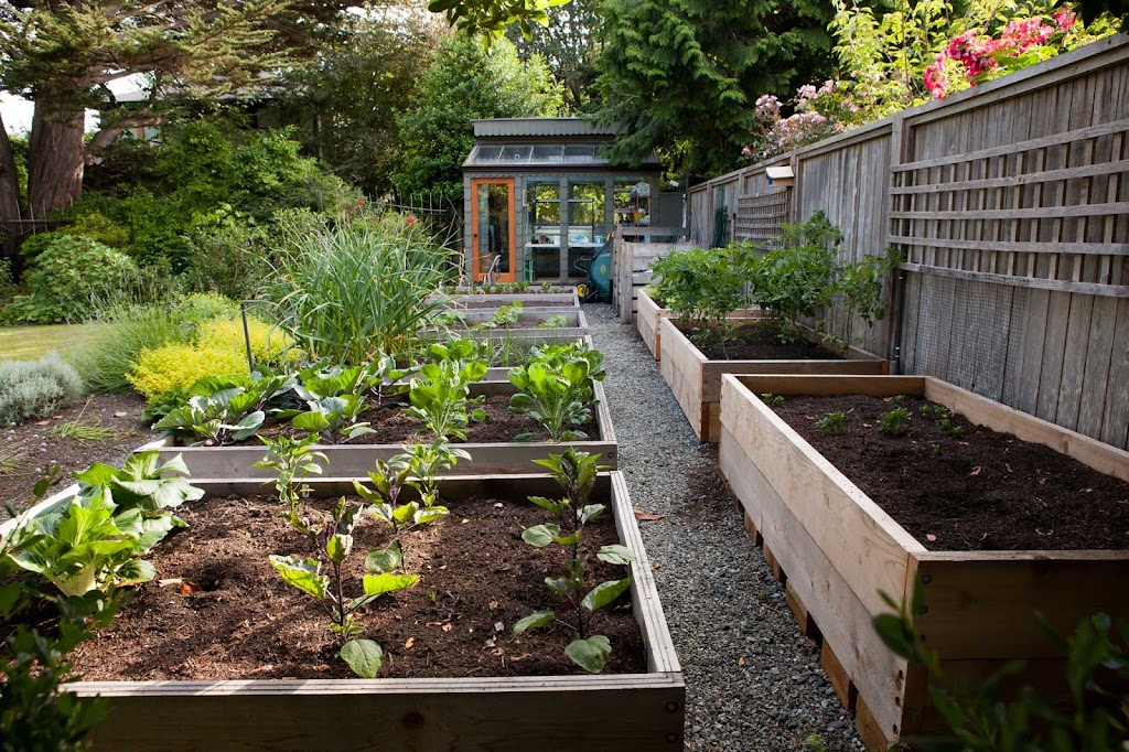Manon Tremblay Garden Design Inc. | Meredith Crescent, Victoria, BC V8Z 1Z3, Canada | Phone: (778) 977-3388