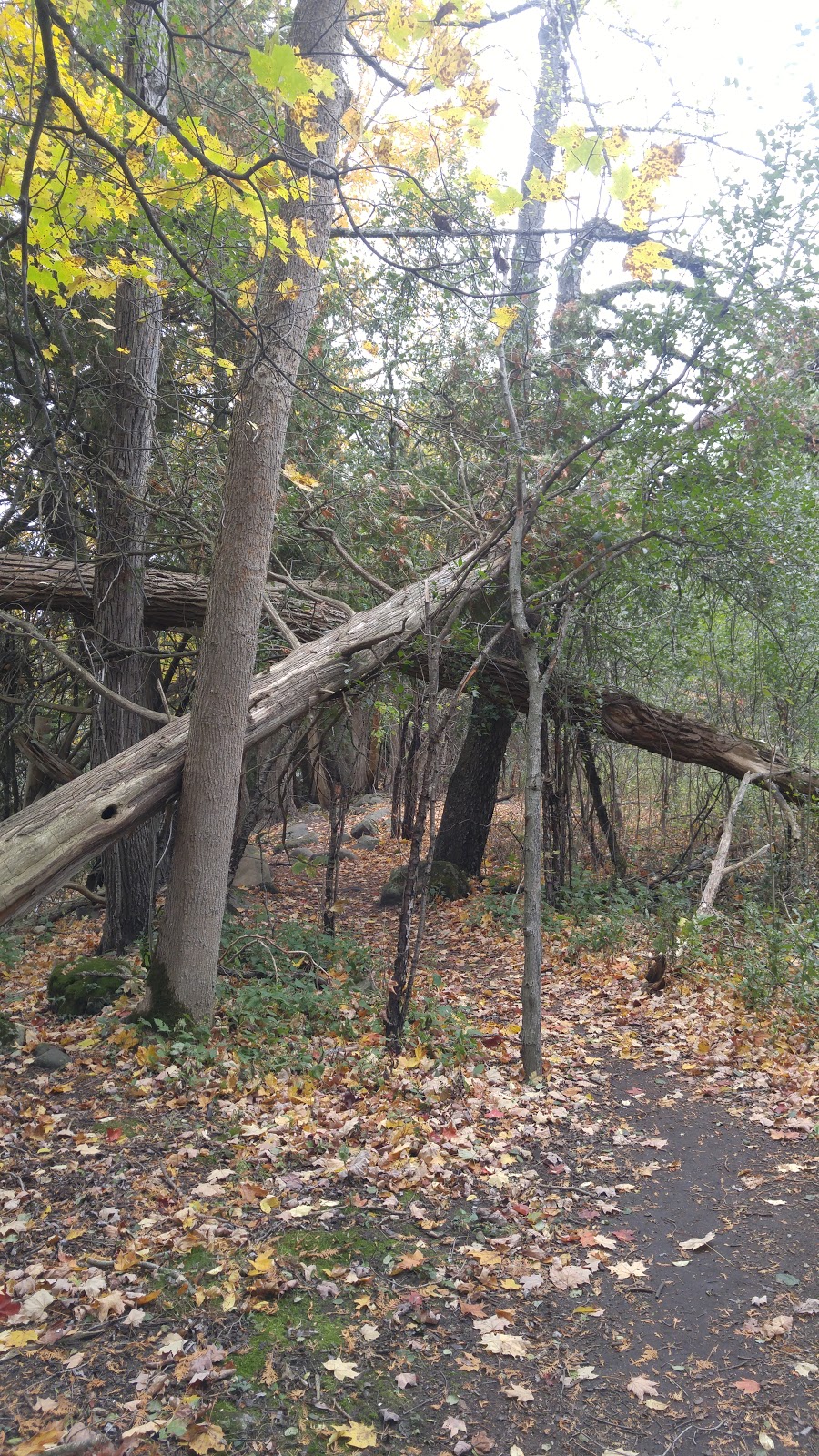 Speed River Trail | Royal Recreation Trail, Guelph, ON N1L 1C6, Canada