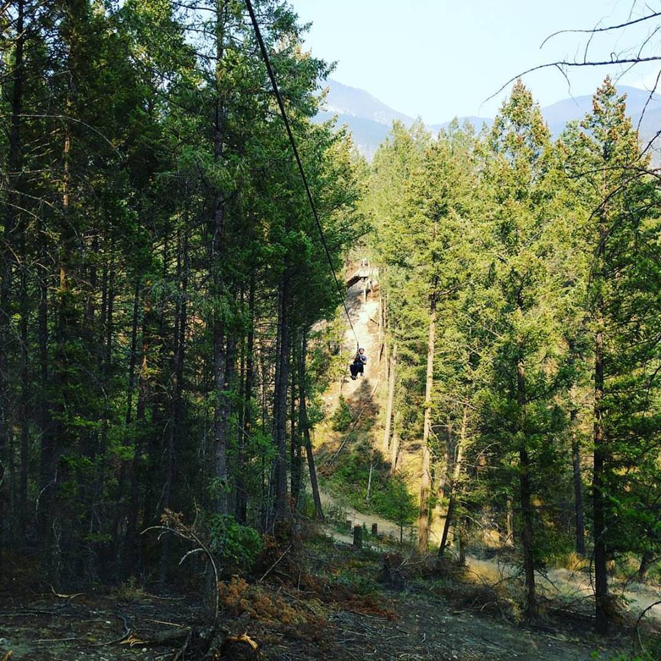 Valley Zipline Adventures | 8393 BC-95, Radium Hot Springs, BC V0A 1M0, Canada | Phone: (250) 347-7627