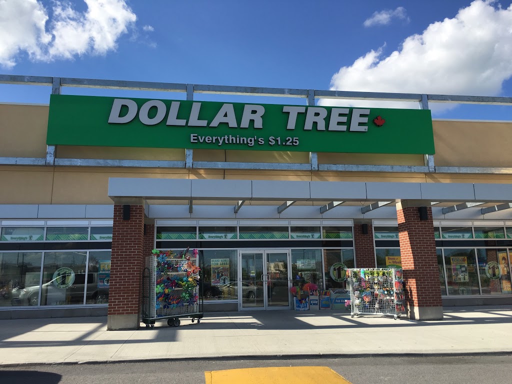 Dollar Tree | home goods store | 5703 Hazeldean Rd #1, Stittsville, ON K2S 0P6, Canada | 6138360060 OR +1 613-836-0060