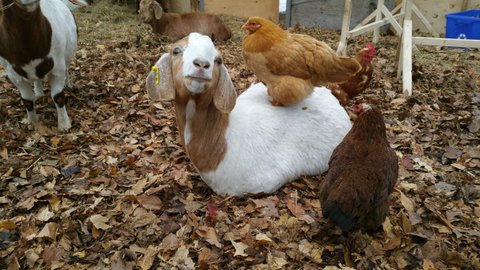 Farmstand | 573 Morrison Point Rd, Milford, ON K0K 2P0, Canada | Phone: (343) 263-3312