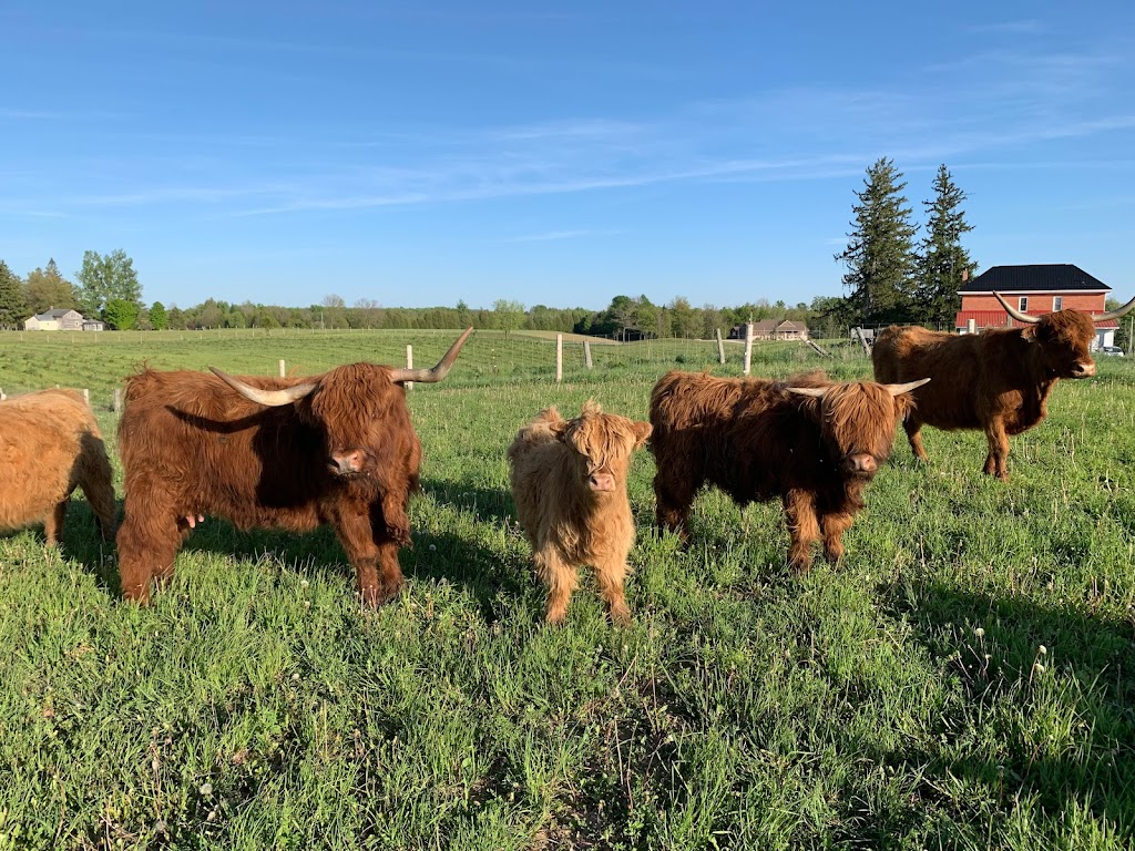 DNAs Farm | 45754 Fordwich Line, Clifford, ON N0G 1M0, Canada | Phone: (519) 573-5283