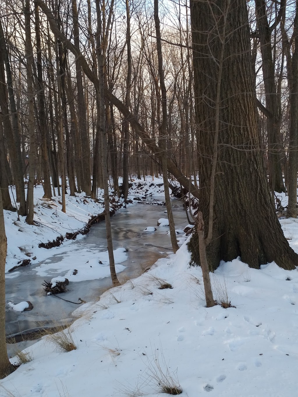 Creek Path Woods | 233 Duskywing Way Unit 31, Oakville, ON L6L 0C5, Canada
