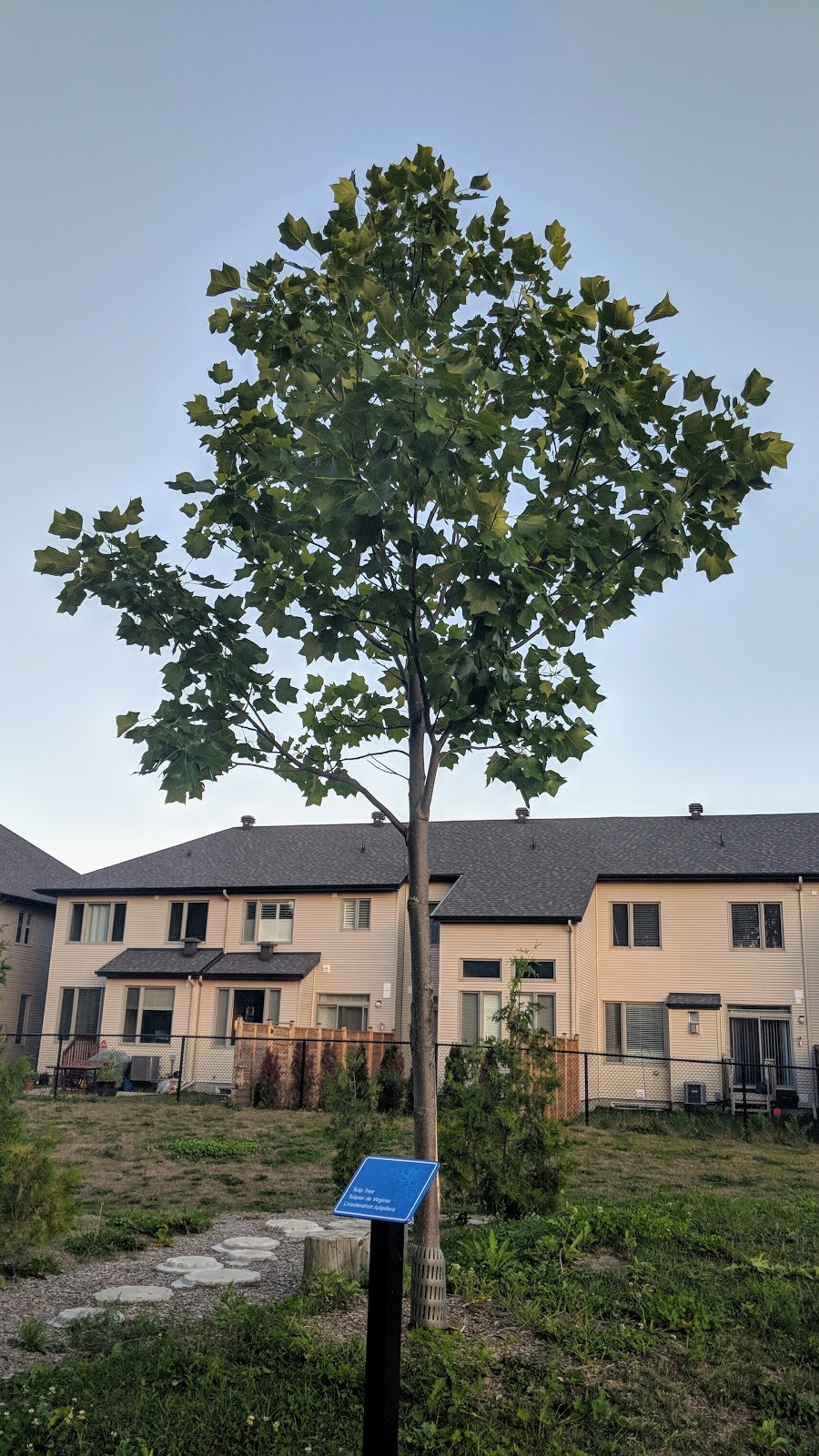 Tulip Tree Park | 520 Tulip Tree Way, Navan, ON K4B 1H9, Canada