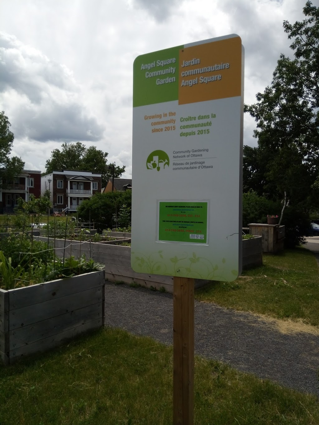 Angel Square Community Garden | 9G7, 40 Cobourg St, Ottawa, ON K1N 5N8, Canada | Phone: (613) 789-3930