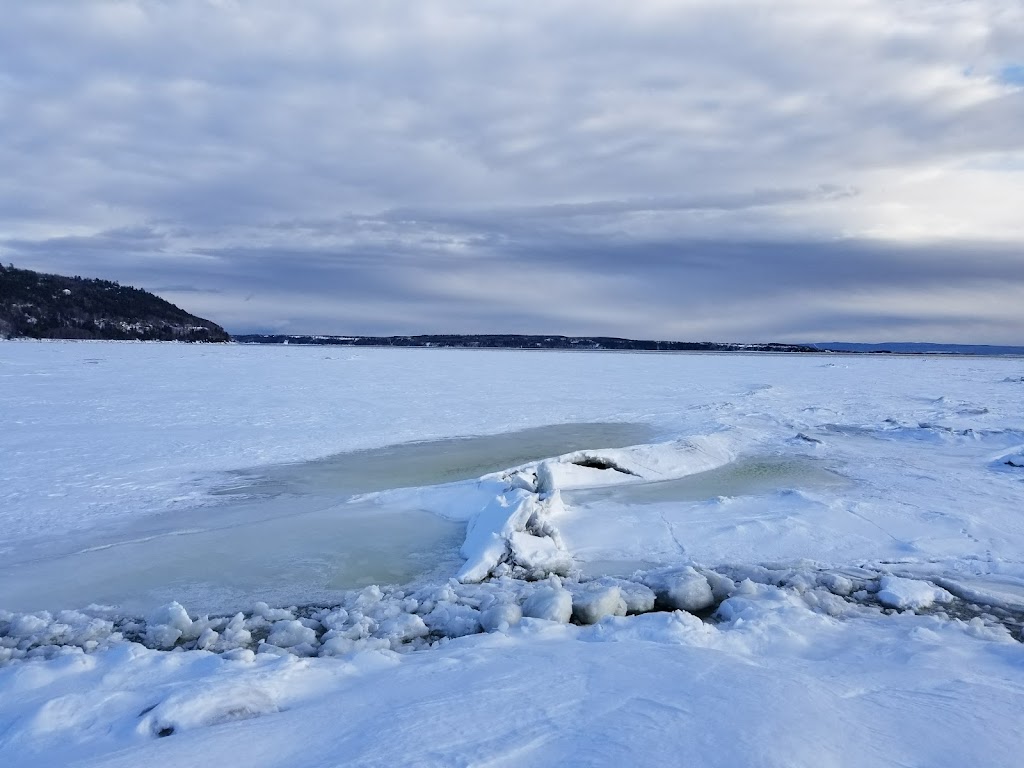 Marina de Baie-Saint-Paul | 205 Rue-Sainte Anne, Baie-Saint-Paul, QC G3Z 1P7, Canada | Phone: (418) 435-5597