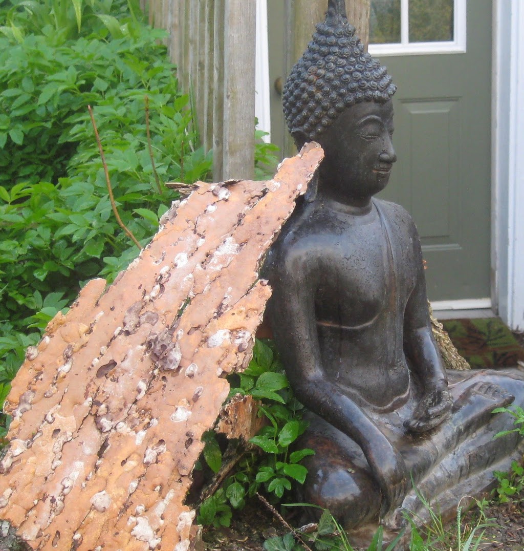 Dharani Healing Arts | 53 McMichael St, Kingston, ON K7M 1M8, Canada | Phone: (613) 770-6878