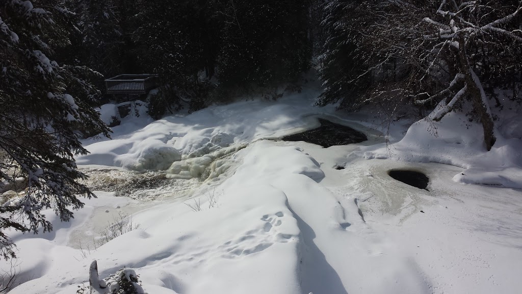 Ramonage Lanaudiere | 620 Chemin du Lac Sainte Rose S, Mandeville, QC J0K 1L0, Canada | Phone: (450) 835-0370