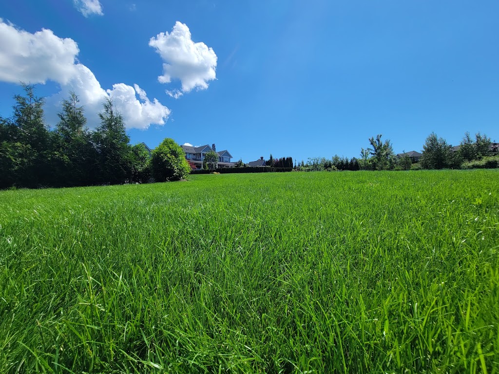 Evergreen Hydroseed & Land Reclamation Ltd. | 810 Quayside Dr #205, New Westminster, BC V3M 6B9, Canada | Phone: (604) 999-7833