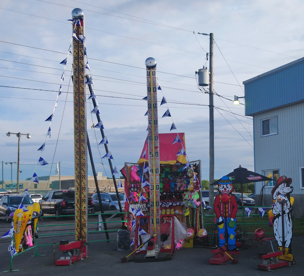 Les Concessiongillies inc | Rue des Sorbiers, Trois-Rivières, QC G8V 2B8, Canada | Phone: (514) 863-4519