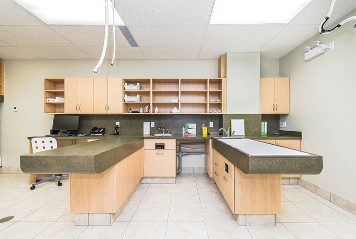 Guelph Lake Veterinary Hospital | 322 Eastview Rd Unit B4, Guelph, ON N1E 0L2, Canada | Phone: (519) 824-9898