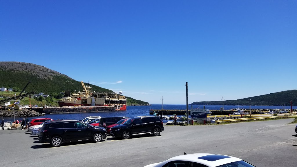 OBriens Whale and Bird Tours | 22 Lower Rd, Bay Bulls, NL A0A 1C0, Canada | Phone: (709) 753-4850