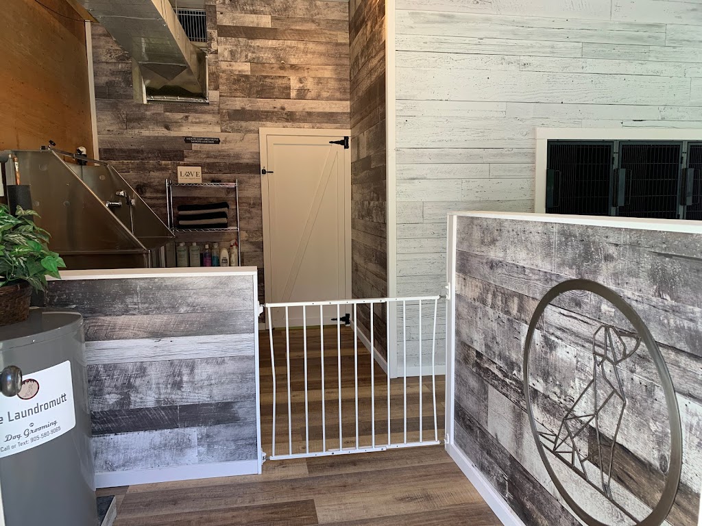 The Laundromutt | 4943 10 Line, Terra Cotta, ON L0P 1N0, Canada | Phone: (905) 580-9065