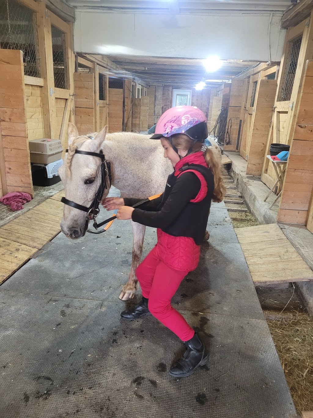 Les Écuries Milton Stables | 1297 10e Rang O, Saint-Adrien, QC J0A 1C0, Canada | Phone: (819) 432-5521