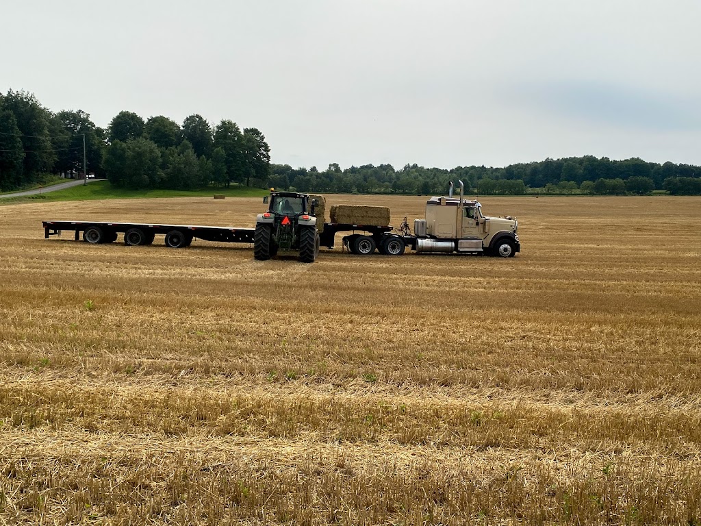 Fermes Lukassen Farms | 3960 Chemin Carrefour Front, Godmanchester, QC J0S 1H0, Canada | Phone: (450) 802-0707
