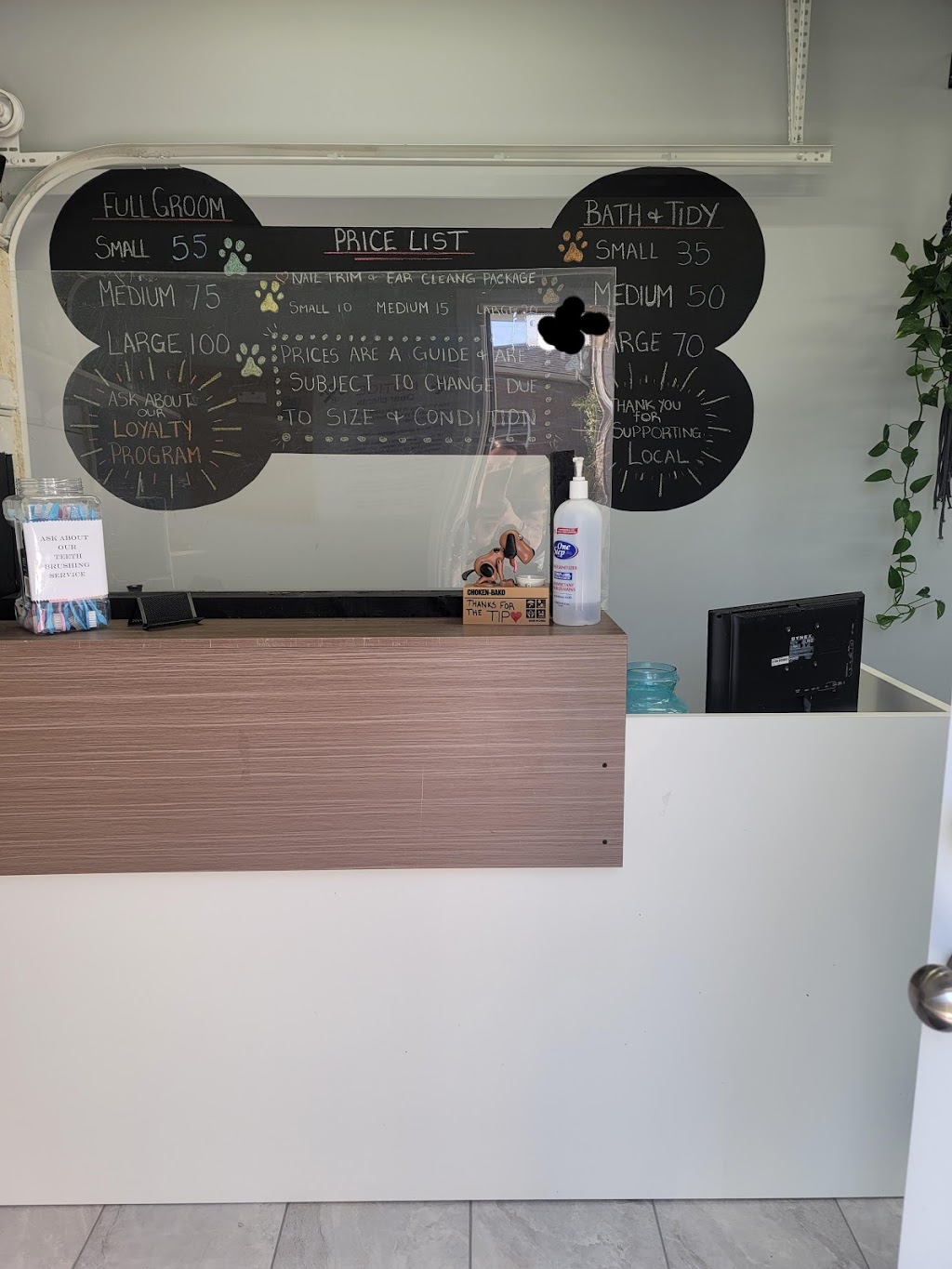 Pawtricias Dog Grooming | 56 Nicole Marie Ave, Barrie, ON L4M 6Y6, Canada | Phone: (416) 857-5300