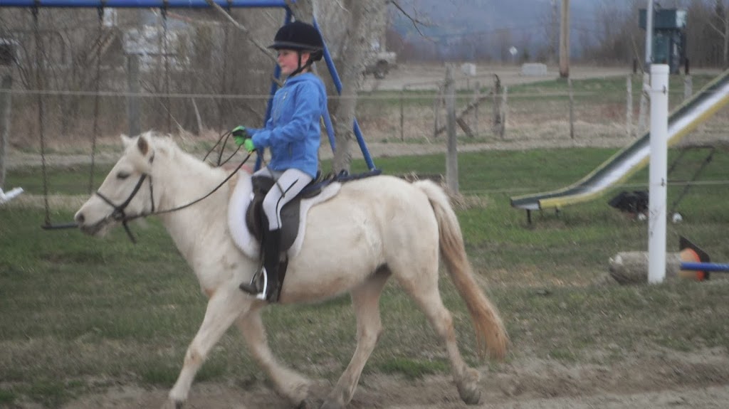 SEQS;Société DEquitation Quatre Saisons; | 6240 QC-112, Ascot Corner, QC J0B 1A0, Canada | Phone: (819) 829-4346