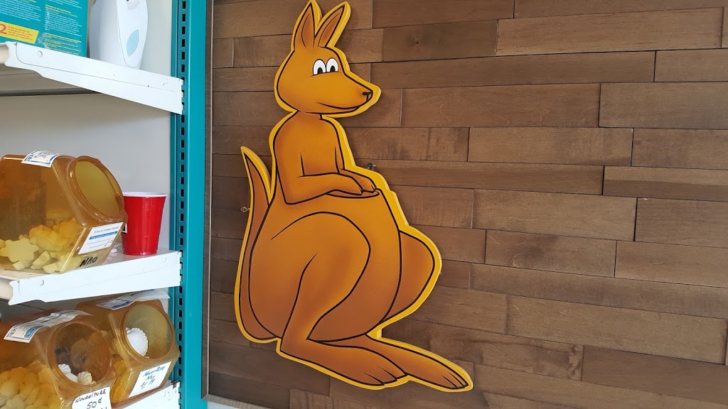Pet Kangaroo Rec | 348 Rue Beaudry N, Joliette, QC J6E 6A6, Canada | Phone: (450) 752-5019