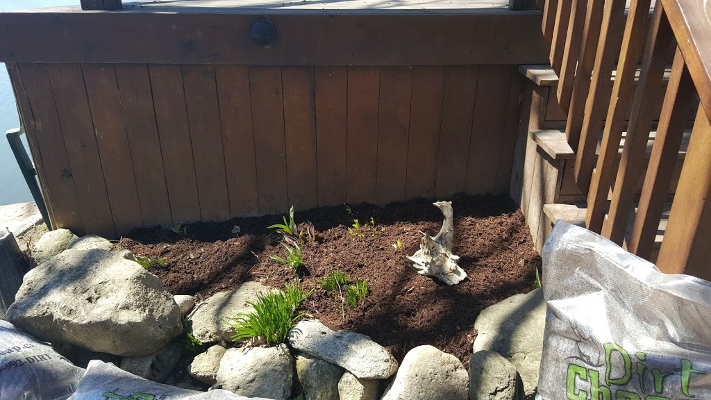 Dirt Cheap Inc. | 43 Manitou Dr, Kitchener, ON N2C 1K9, Canada | Phone: (519) 804-4300