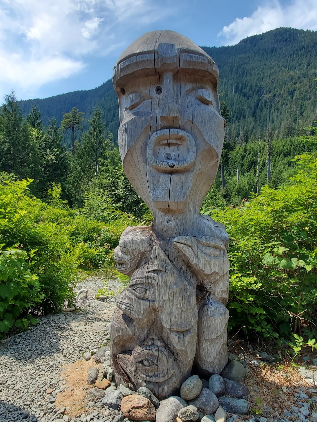 WestCoast WILD Zipline | 51861 Pacific Rim Hwy, Alberni-Clayoquot, BC V0R 2Z0, Canada | Phone: (877) 992-9453
