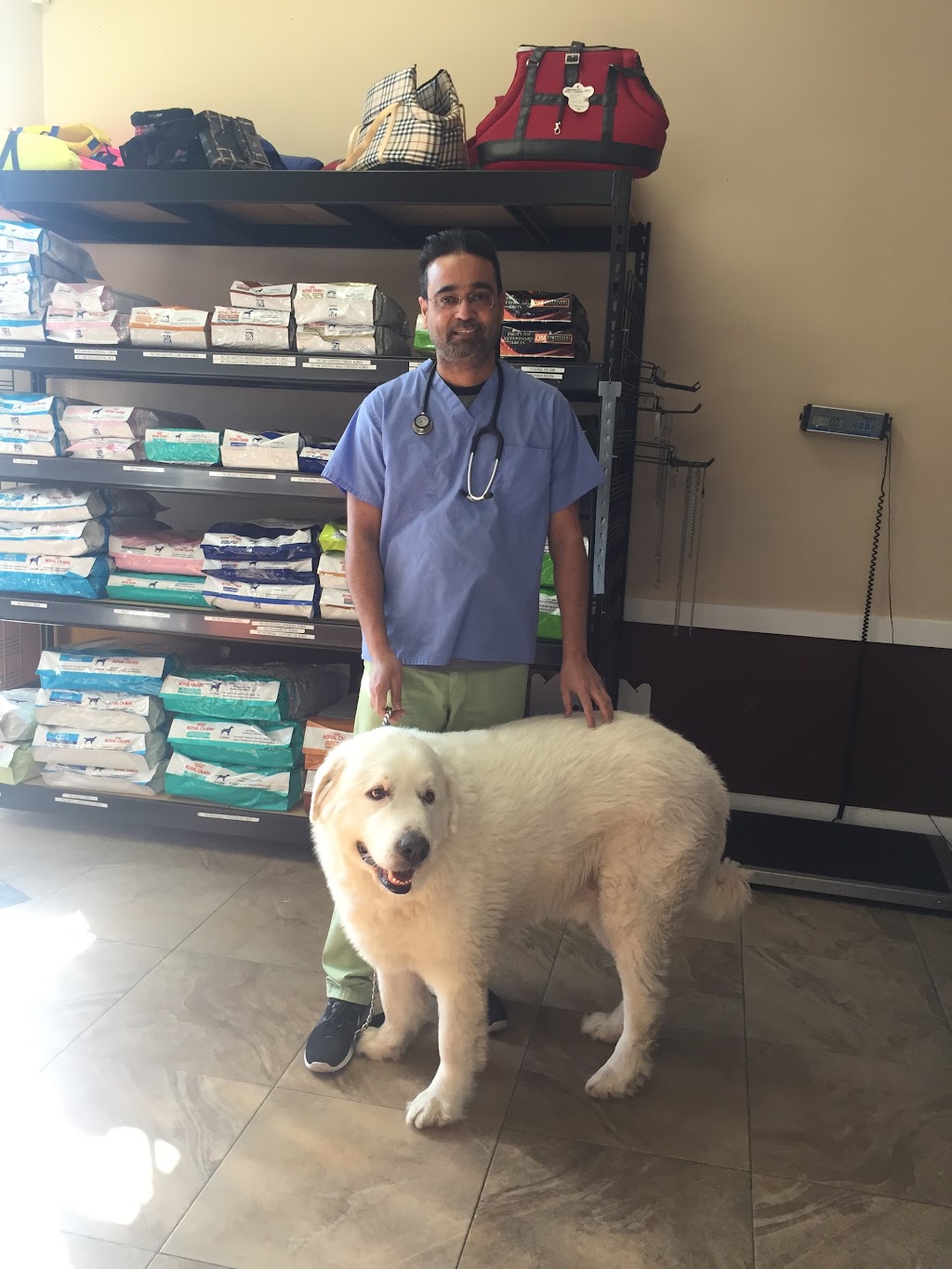 Avon Animal Hospital | 19475 Fraser Hwy, Surrey, BC V3S 6K7, Canada | Phone: (604) 532-7600