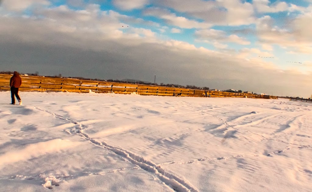 Neighbourly Stables | 1125 43 St S, Lethbridge, AB T1J 4W2, Canada | Phone: (587) 220-1414